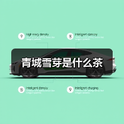 青城雪芽是什么茶（图1）