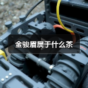 金骏眉属于什么茶（图1）