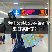 为什么感觉现在很难买到好茶叶了？（图1）