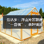 范坑乡:洋山片区联建“一盘棋”,茶叶铺就共富路(图4) 范坑乡:洋山片区联建“一盘棋”,茶叶铺就共富路(图4)