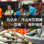 范坑乡:洋山片区联建“一盘棋”,茶叶铺就共富路(图3) 范坑乡:洋山片区联建“一盘棋”,茶叶铺就共富路(图3)