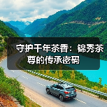 守护千年茶香:锦秀茶尊的传承密码(图4) 守护千年茶香:锦秀茶尊的传承密码(图4)