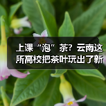 上课“泡”茶?云南这所高校把茶叶玩出了新花样(图4) 上课“泡”茶?云南这所高校把茶叶玩出了新花样(图4)