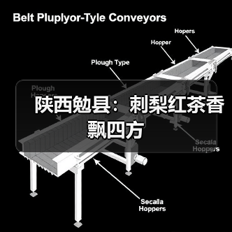 陕西勉县:刺梨红茶香飘四方(图4) 陕西勉县:刺梨红茶香飘四方(图4)
