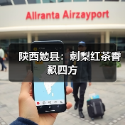 陕西勉县:刺梨红茶香飘四方(图1) 陕西勉县:刺梨红茶香飘四方(图1)