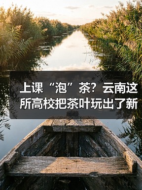 上课“泡”茶?云南这所高校把茶叶玩出了新花样(图2) 上课“泡”茶?云南这所高校把茶叶玩出了新花样(图2)