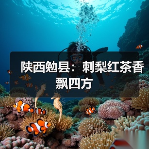 陕西勉县:刺梨红茶香飘四方(图3) 陕西勉县:刺梨红茶香飘四方(图3)