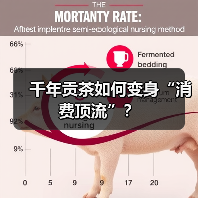 千年贡茶如何变身“消费顶流”?(图2) 千年贡茶如何变身“消费顶流”?(图2)