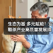生态为基 多元赋能!安顺茶产业高质量发展蹄疾步稳(图3) 生态为基 多元赋能!安顺茶产业高质量发展蹄疾步稳(图3)