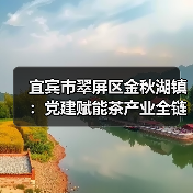 宜宾市翠屏区金秋湖镇:党建赋能茶产业全链条新质发展(图4) 宜宾市翠屏区金秋湖镇:党建赋能茶产业全链条新质发展(图4)