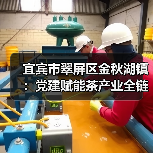 宜宾市翠屏区金秋湖镇:党建赋能茶产业全链条新质发展(图3) 宜宾市翠屏区金秋湖镇:党建赋能茶产业全链条新质发展(图3)