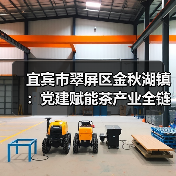 宜宾市翠屏区金秋湖镇:党建赋能茶产业全链条新质发展(图1) 宜宾市翠屏区金秋湖镇:党建赋能茶产业全链条新质发展(图1)
