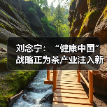 刘念宁：“健康中国”战略正为茶产业注入新动能（图2）