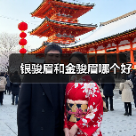 银骏眉和金骏眉哪个好（图3）
