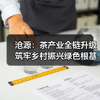 沧源:茶产业全链升级 筑牢乡村振兴绿色根基(图3) 沧源:茶产业全链升级 筑牢乡村振兴绿色根基(图3)