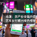 沧源:茶产业全链升级 筑牢乡村振兴绿色根基(图2) 沧源:茶产业全链升级 筑牢乡村振兴绿色根基(图2)