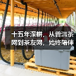 十五年深耕,从普洱茶网到茶友网,始终陪伴您的寻茶之旅(图1) 十五年深耕,从普洱茶网到茶友网,始终陪伴您的寻茶之旅(图1)