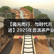 【循光而行，与时代共进】2025年普洱茶产业十大高光时刻回顾（图3）
