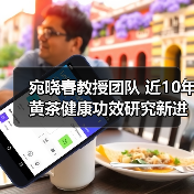 宛晓春教授团队 近10年黄茶健康功效研究新进展（图2）