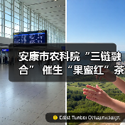 安康市农科院“三链融合” 催生“果蜜红”茶产业新赛道（图1）