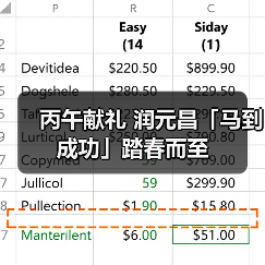 丙午献礼 润元昌「马到成功」踏春而至（图3）
