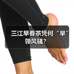 三江早春茶凭何“早”领风骚？（图3）
