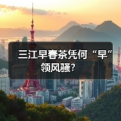 三江早春茶凭何“早”领风骚？（图2）