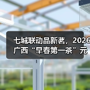 七城联动品新茗，2026广西“早春第一茶”元旦开售！（图3）