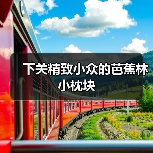 下关精致小众的芭蕉林小枕块（图1）