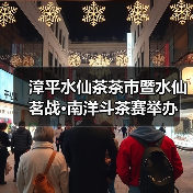 漳平水仙茶茶市暨水仙茗战·南洋斗茶赛举办（图3）