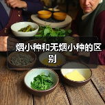 烟小种和无烟小种的区别（图1）