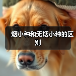 烟小种和无烟小种的区别（图4）