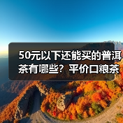 50元以下还能买的普洱茶有哪些？平价口粮茶推荐，实惠又好喝（图2）