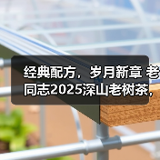 经典配方，岁月新章 老同志2025深山老树茶，如约而至。（图1）