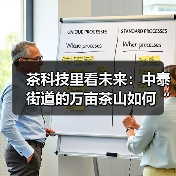 茶科技里看未来：中泰街道的万亩茶山如何“点绿成金”（图3）