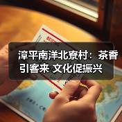漳平南洋北寮村：茶香引客来 文化促振兴（图1）