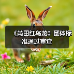 《莆田红乌龙》团体标准通过审查（图3）