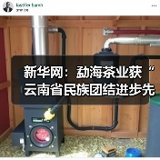新华网：勐海茶业获“云南省民族团结进步先进集体”称号（图2）