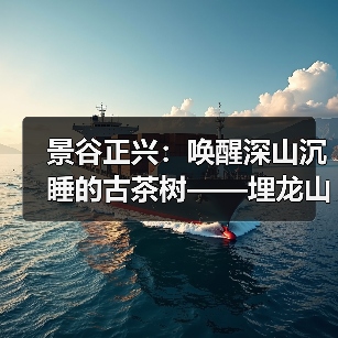 景谷正兴：唤醒深山沉睡的古茶树——埋龙山古树茶叶变“金叶”（图2）
