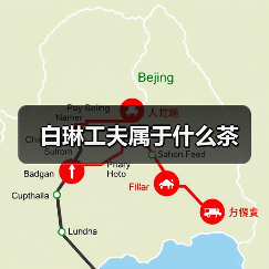 白琳工夫属于什么茶(图3) 白琳工夫属于什么茶(图3)