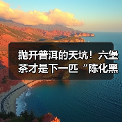 抛开普洱的天坑！六堡茶才是下一匹“陈化黑马”，附硬核挑选指南（图2）