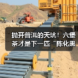 抛开普洱的天坑！六堡茶才是下一匹“陈化黑马”，附硬核挑选指南（图4）
