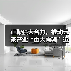 汇聚强大合力，推动云茶产业“由大向强”迈进（图3）