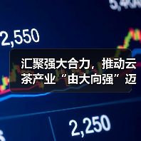 汇聚强大合力，推动云茶产业“由大向强”迈进（图4）