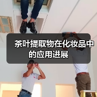 茶叶提取物在化妆品中的应用进展（图2）