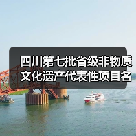四川第七批省级非物质文化遗产代表性项目名录公布，蒙山派“龙行十八式”成功入选！！（图4）