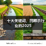 十大关键词，回顾茶行业的2025（图1）