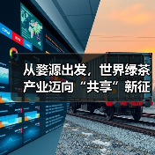 从婺源出发，世界绿茶产业迈向“共享”新征程（图2）