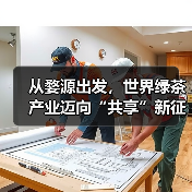 从婺源出发，世界绿茶产业迈向“共享”新征程（图1）