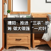 建阳:推进“三茶”统筹 做大做强“一片叶”(图1) 建阳:推进“三茶”统筹 做大做强“一片叶”(图1)